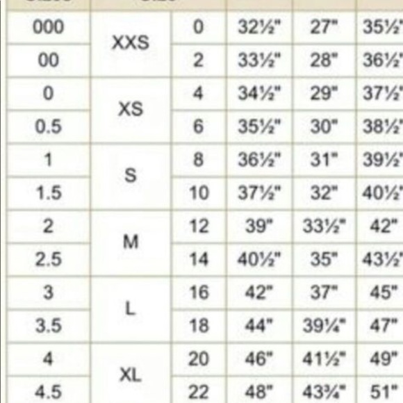 NWT Chico’s Jacobean Floral Ruffle Mock Neck Top - Picture 16 of 16